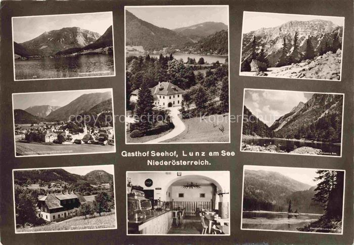 Lunz am See Niederoesterreich AT Gasthof-Seehof Lunzer-See Berge Wald Ortschaft