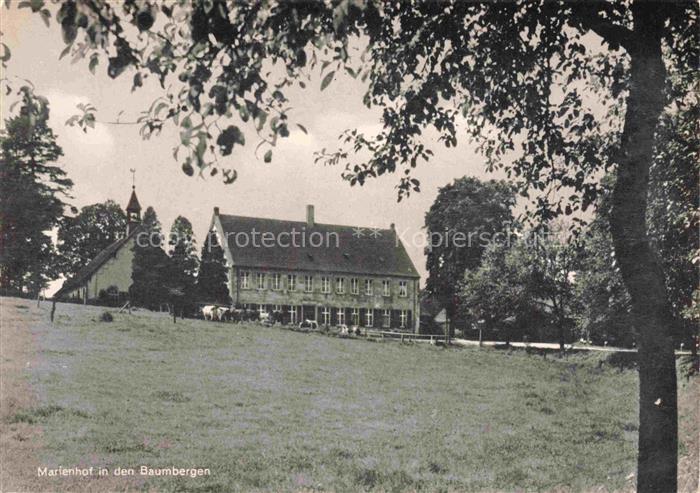 Nottuln NRW Marienhof Muettergenesungsheim Baumberge Klostergebaeude Kuehe Wiese