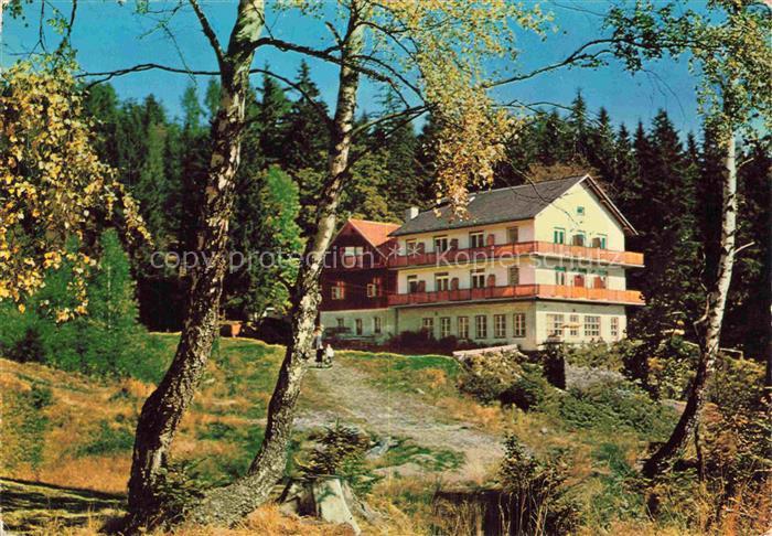 Schaueregg Tauchen Waldgasthof-Pension Traenk-Toerl Bergwald Herbst Birken Tanne