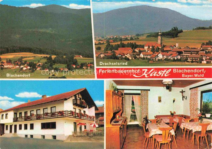 Blachendorf Drachselsried REGEN Bayern Ferienbauernhof Bayerischer-Wald Panorama