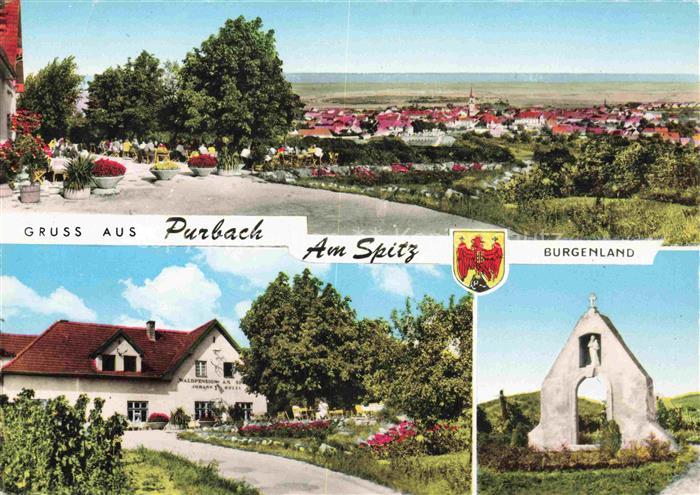 Purbach Neusiedler See Burgenland AT Waldpension-Hoelzl Terrasse Stadtpanorama D