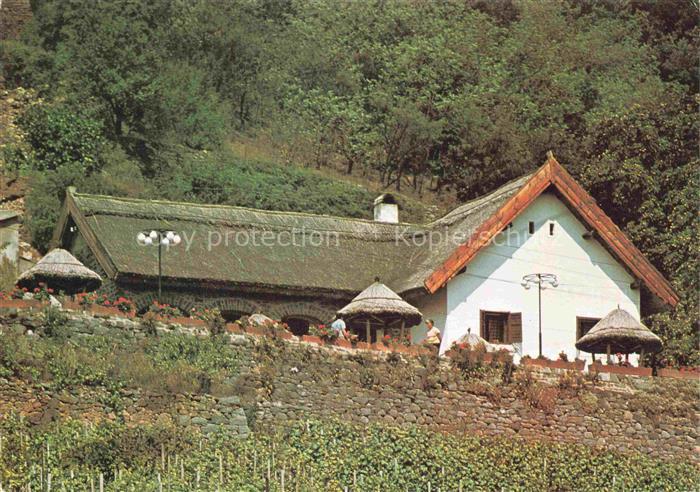 Badacsony HU Kisfaludy-ház Reetdach Weinberg Bauernhaus Blumen Bergwald