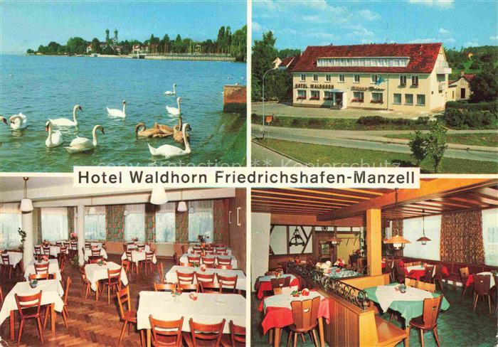 Manzell Friedrichshafen Bodenseekreis BW Hotel-Waldhorn Bodensee Schwaene Restau