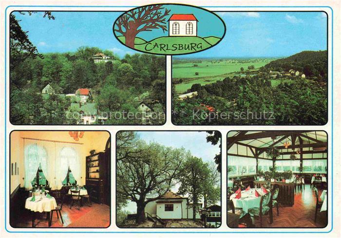 Falkenberg Mark Brandenburg Restaurant-Cafe-Carlsburg Freiterrasse Rundblick Fla