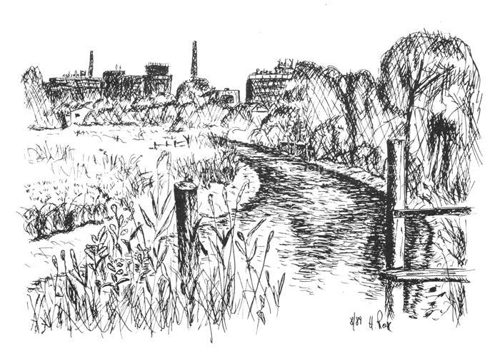 ELMSHORN Pinneberg Schleswig-Holstein Krueckau Federzeichnung Fluss Schilf Indus