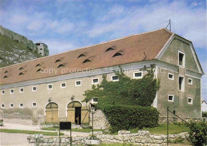 Suemeg Veszprem Megye HU Lovasiskola Reitschule Kalksteinfelsen Efeu Weatherfahn