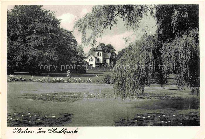 Itzehoe Stadtpark Teich Trauerweide Villa Seerosen Baeume Park