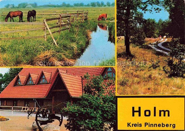 Holm Pinneberg Schleswig-Holstein Marsch Pferde Dorfgemeinschaftshaus Holmer-San