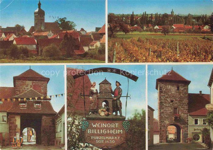 Billigheim-Ingenheim Weinstrasse Rheinland-Pfalz Weinort Purzelmarkt Weinberge S