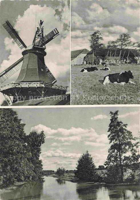 Berumerfehn Grossheide AURICH Niedersachsen Kompanienhaus Windmuehle Kuehe Weide
