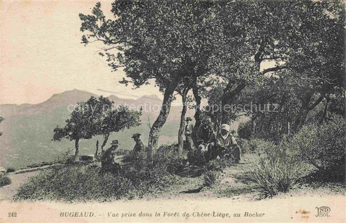 Bugeaud Algerie Foret-de-Chene-Liege Korkeiche Wald Berglandschaft Ruhende Felsb