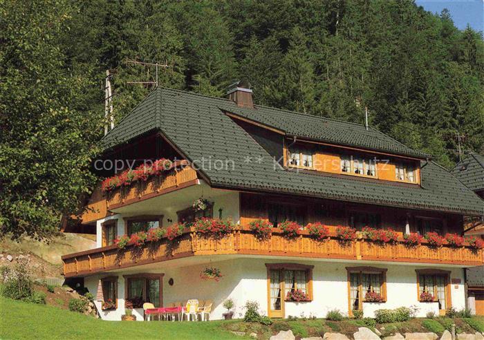 Menzenschwand Sankt Blasien BW Gaestehaus-Goetz Schwarzwaldhaus Geranien Balkon