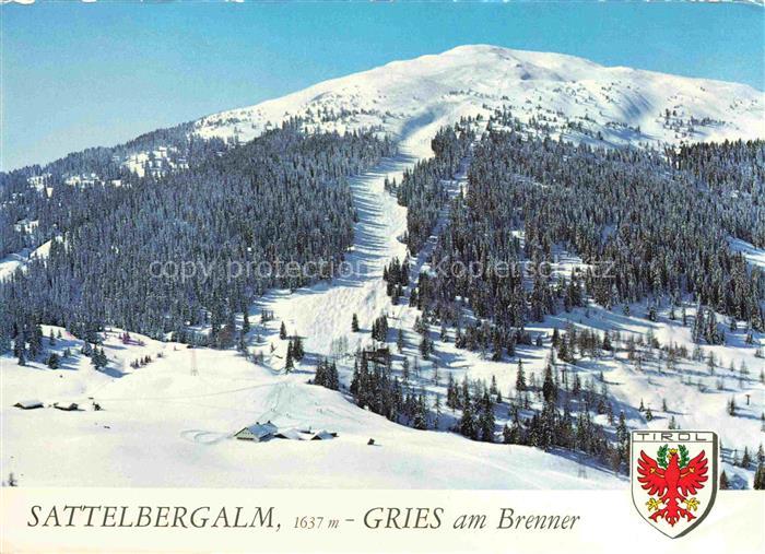 Sattelbergalm 1637m Gries Brenner Bozen BOLZANO Suedtirol IT Sattelbergalm Sesse