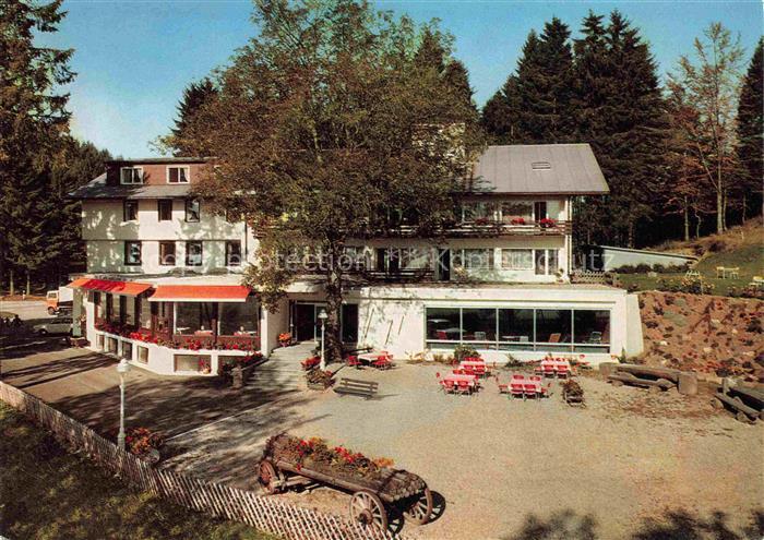 Wieden  Schwarzwald BW Berghotel-Wiedener-Eck Hotel Terrasse Hochschwarzwald Wal
