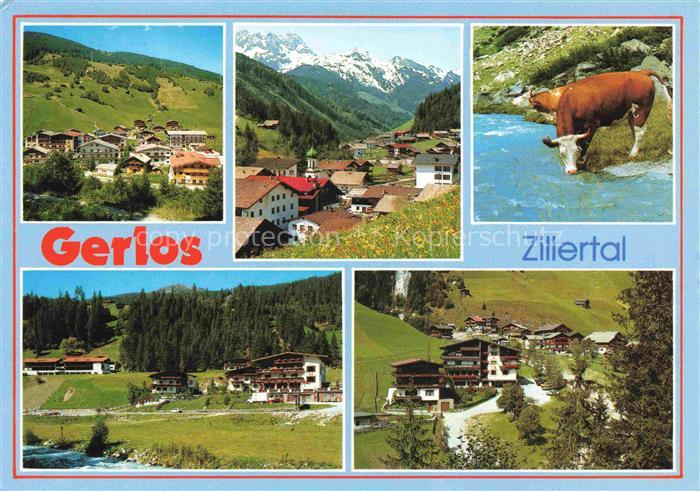 Gerlos Zillertal Tirol AT Dorf Tal Berge Kuh-im-Bach Bergwiesen Zillertal Haeuse
