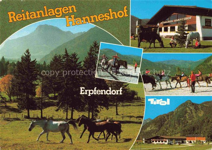 Erpfendorf Tirol Kirchdorf Tirol AT Reitanlagen-Hanneshof Pferde Reiter Reitschu