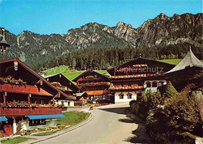Alpbach 1000m Brixlegg Tirol AT Bauernhaeuser Blumenkaesten Dorfstrasse Felswand