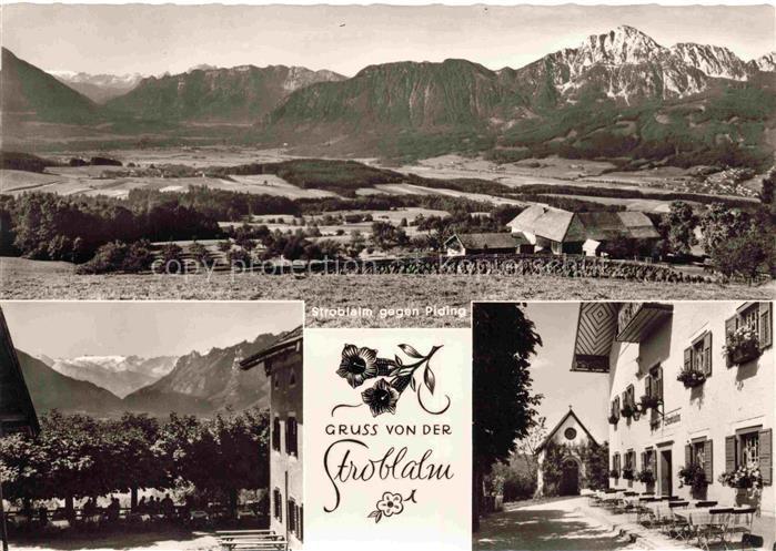 Piding Berchtesgadener Land Bayern Stroblalm Untersberg uebergossene-Alm Latteng