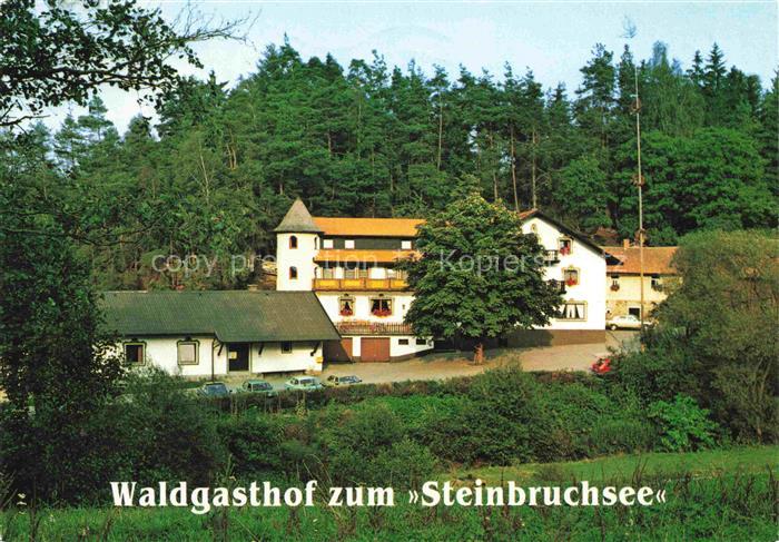 Sengenbuehl Waldgasthof Steinbruchsee Steinbruchweg Turm Wald Waldmuseum Wildgeh