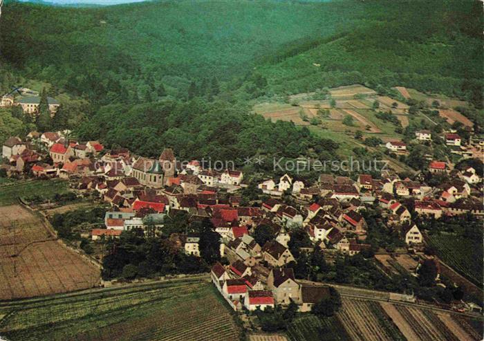 Bad Gleisweiler Weinberg Kirchturm Altstadt Wald Berge Weinstrasse