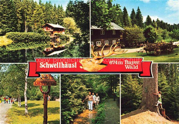 Schwellhaeusl 674m Zwieselerwaldhaus Zwieseler Waldhaus REGEN Bayern Schwellhaeu