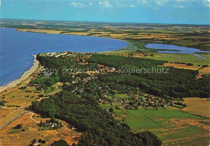Hohwacht Ostseebad Schleswig-Holstein Ostseebad Ostsee Fliegeraufnahme Wald Stra
