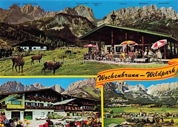Ellmau Elmau Tirol AT Wildpark-Wochenbrunn Wochenbrunneralm Hirsche Berggasthof