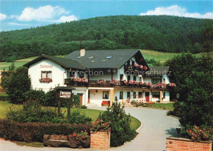 Schoenbrunn Wald-Michelbach Falter Pension Ellenbach Odenwald Schoenmattenwag Bl