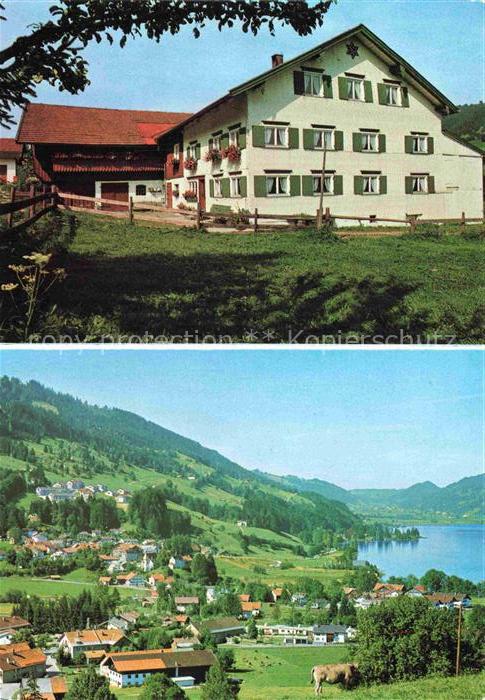 Ratholz Immenstadt Allgaeu Bayern Bauernhof Alpsee Dorfpanorama Wiesen Berge Kue