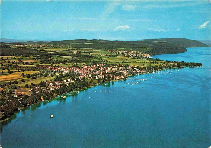 Dingelsdorf Konstanz Bodensee BW Bodensee Luftaufnahme Segelboote Ufer Wald Wies