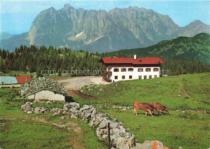 Straubingerhaus 1598m Eggenalm Wilder Kaiser Tirol AT Fellhorn Almhuette Kuehe B