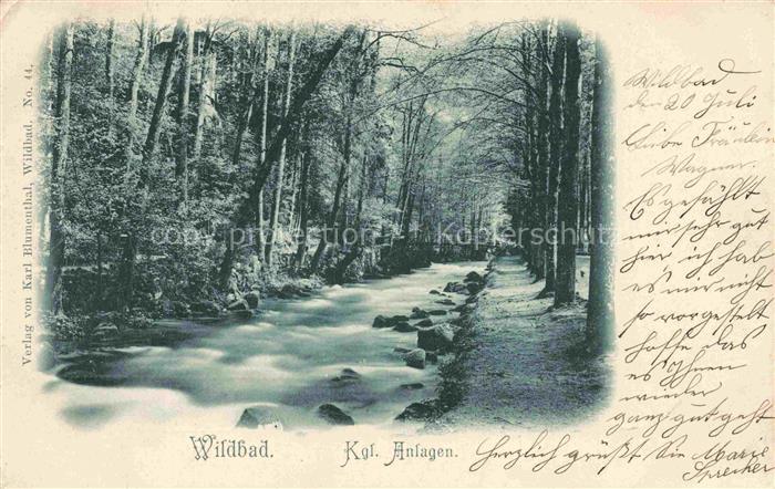 WILDBAD Bad Schwarzwald BW Kgl-Anlagen Enzfluss Fluss Wald Allee Felsen Uferweg