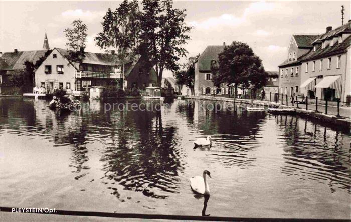 Pleystein Neustadt Waldnaab Bayern Weiher Schwaene Dorfansicht Wohnhaeuser Kirch