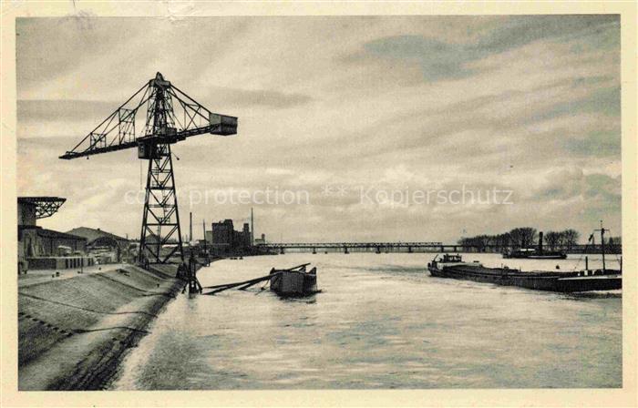 Heppenheim Wiese WORMS Rheinland-Pfalz Hafen Rhein Portalkran Binnenschiff Bruec