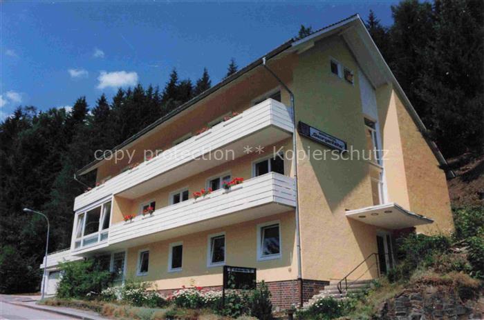 Altenkirchen Westerwald Rheinland-Pfalz Hotel-Pension-Johannisberg Terrasse Son
