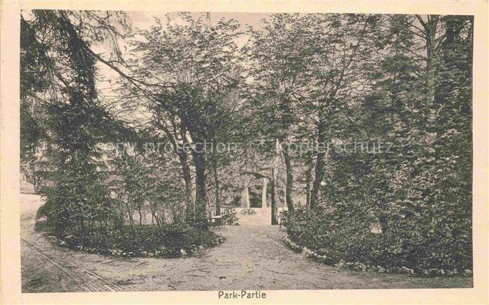 Marienberg Boppard Rhein Rheinland-Pfalz Park-Partie Kurhaus-Marienberg Baeume W
