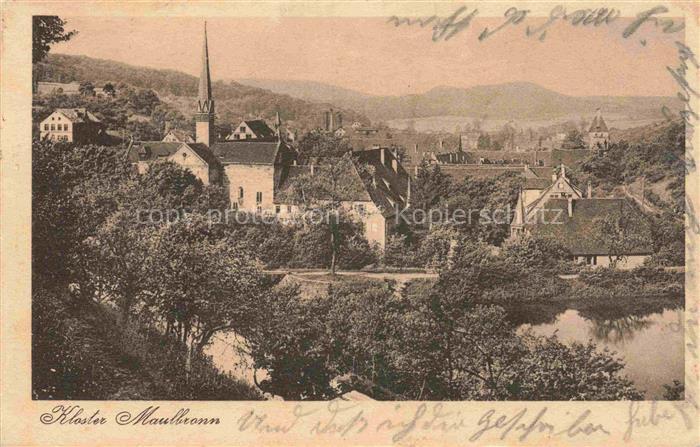 Maulbronn Kloster Kirchturm Teich Baeume Stadtansicht Daecher