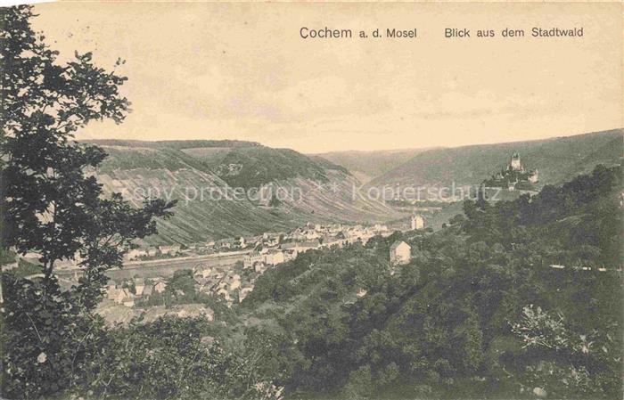 Alt Cochem Mosel Stadtwald Reichsburg Weinberge Tal Stadtpanorama