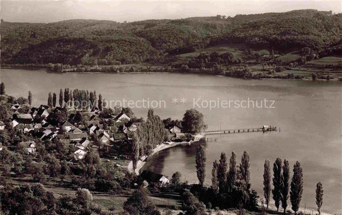 Wangen Untersee Bodensee Untersee Bodensee See Dorf Steg Pappeln Huegel Panorama