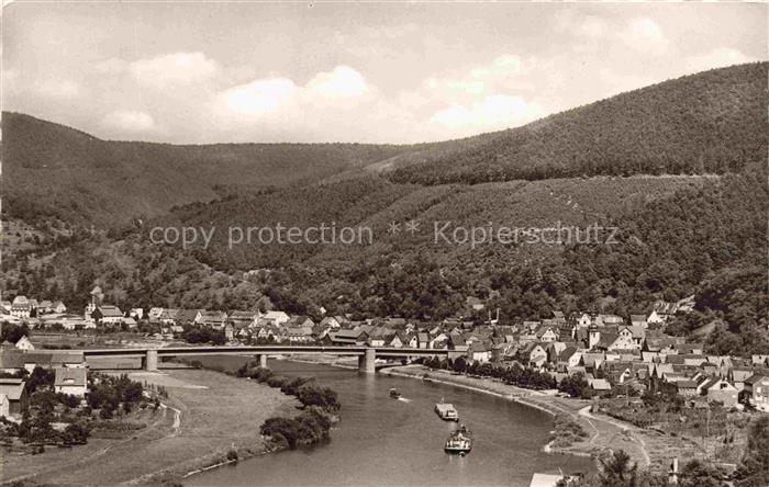 Freudenberg Main Baden BW Main Bruecke Fluss Ortschaft Huegel Wald Dampfer
