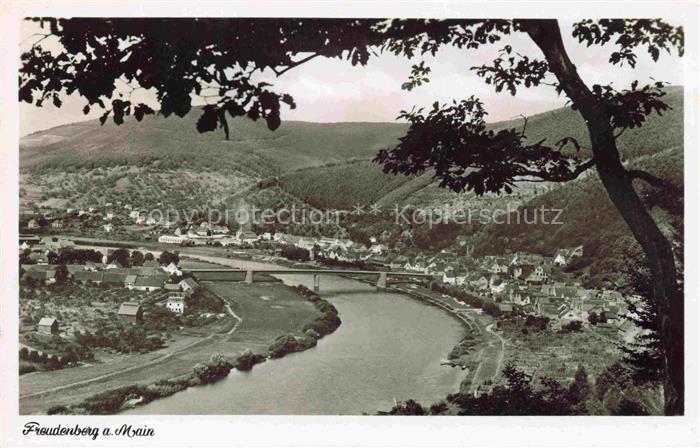 Freudenberg Main Baden BW Main Bruecke Fluss Ortschaft Huegel Wald