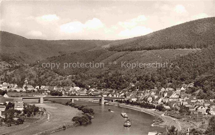 Freudenberg Main Baden BW Main Bruecke Fluss Ortschaft Huegel Wald Dampfer