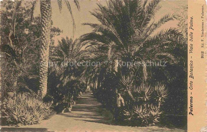 PALERMO  Sicilia IT Orto-Botanico Viale-delle-Palme Palmen Parkweg Kakteen botan