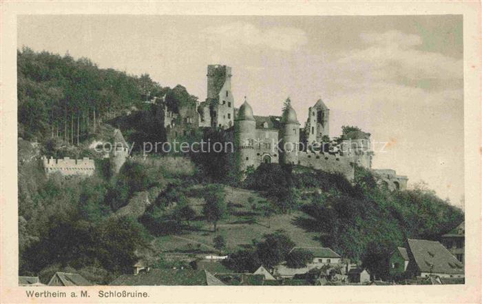 Wertheim Main BW Schlossruine Burg Tuerme Zinnen Huegel Wald Haeuser