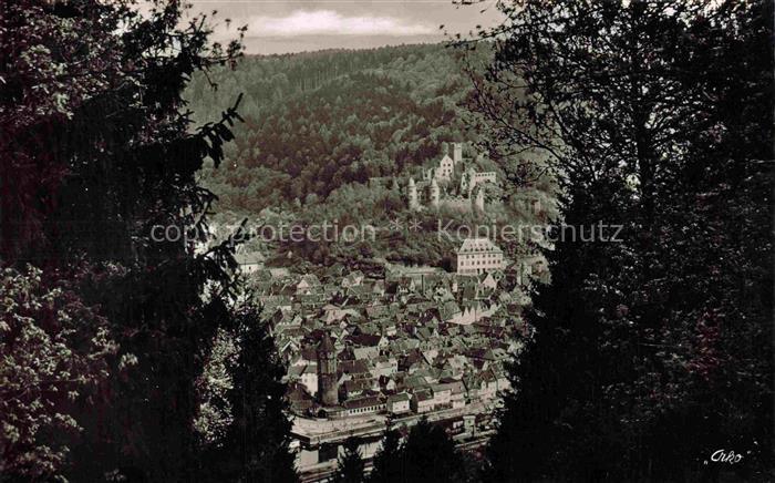 Wertheim Main BW Stadtpanorama Burg Wald Baeume Haeuser Fernblick Altstadt