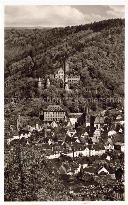 Wertheim Main BW Main Burg Kirche Altstadt Stadtpanorama Wald Haeuserzeilen