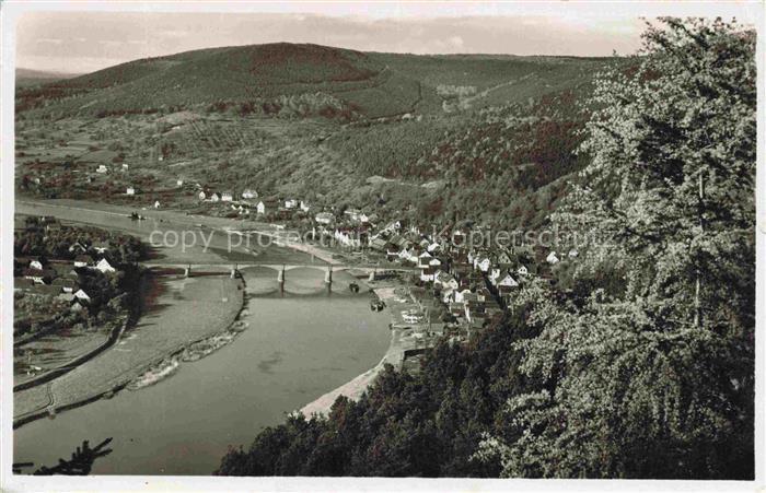 Freudenberg Main Baden BW Main Fluss Bruecke Dorf Haeuserzeilen Wald Huegel