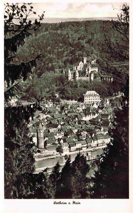 Wertheim Main BW Schloss Burg Stadtansicht Turm Altstadt Huegel Wald Fluss