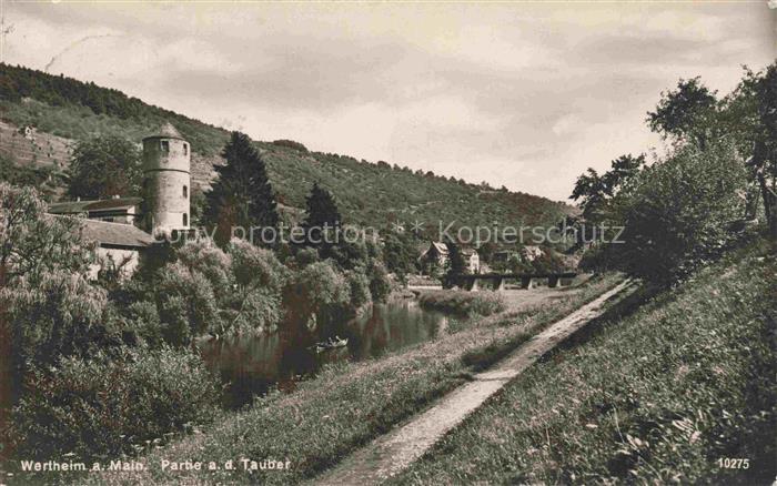 Wertheim Main BW Tauber Fluss Turm Wehrturm Weg Baeume Weinberge Boot