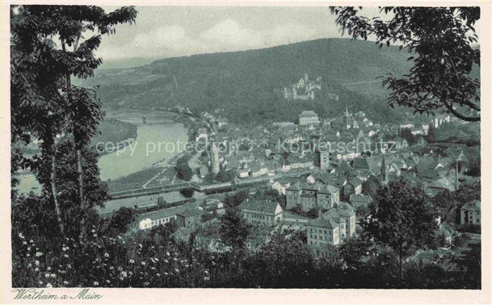Wertheim Main BW Main Fluss Altstadt Schloss Panorama Huegel Bruecke